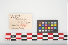Etikett zu Bronzescheibenkopfnadel (NHMW-PRAE-025972)